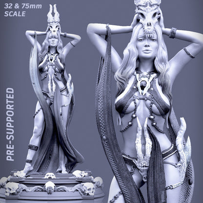 Boneflesh Necromancer Fantasy Printomancer 3d