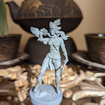 Robin Pirate Girls Ravi DnD Dungeons and Dragons Tabletop Wargame Miniature RPG NPC 3D