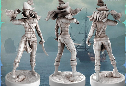 Robin Pirate Girls Ravi DnD Dungeons and Dragons Tabletop Wargame Miniature RPG NPC 3D