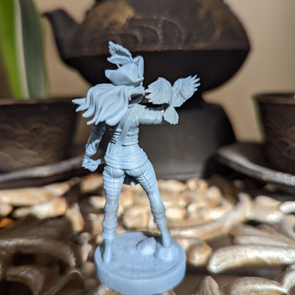 Robin Pirate Girls Ravi DnD Dungeons and Dragons Tabletop Wargame Miniature RPG NPC 3D